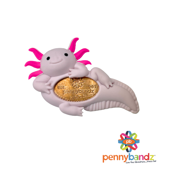 Pennybandz Pennypalz Axolotl (2)